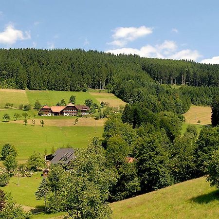 Апартаменти Riehle Hof Целль-ам-Гармерсбах Екстер'єр фото