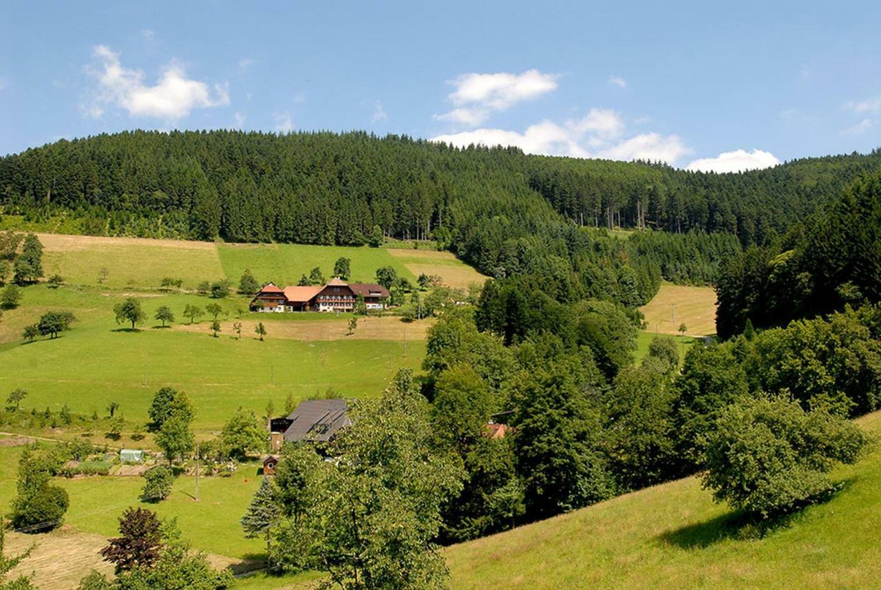 Апартаменти Riehle Hof Целль-ам-Гармерсбах Екстер'єр фото