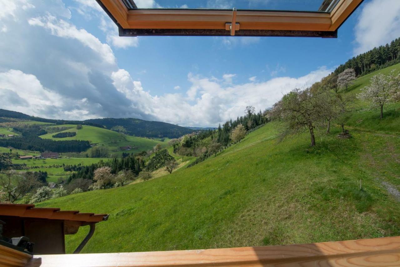 Апартаменти Riehle Hof Целль-ам-Гармерсбах Екстер'єр фото