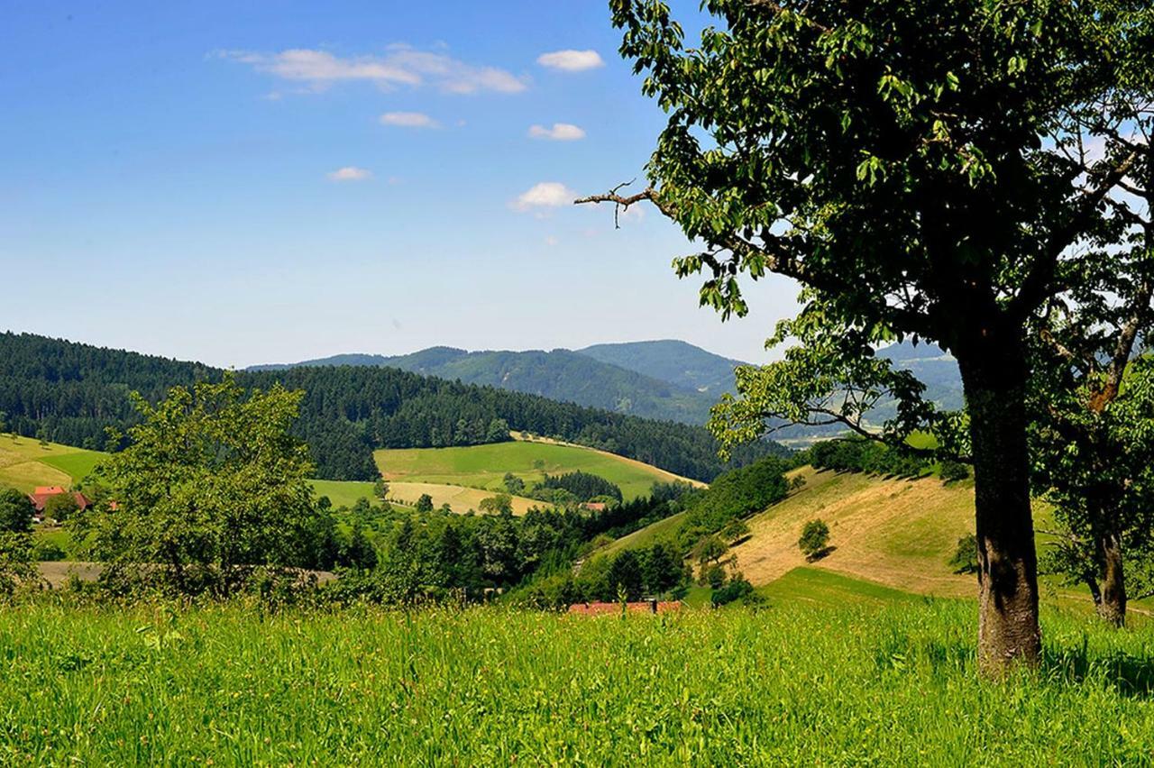 Апартаменти Riehle Hof Целль-ам-Гармерсбах Екстер'єр фото